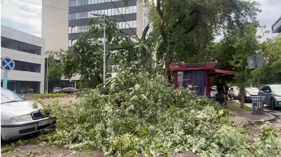 Haos în Capitală, după furtuna din timpul nopții. Au fost 1.000 de apeluri la ISU. Străzi inundate, circulația tramvaielor e afectată   1081228