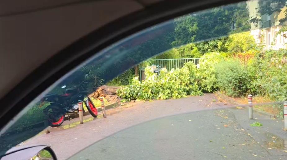 Haos în Capitală, după furtuna din timpul nopții. Au fost 1.000 de apeluri la ISU. Străzi inundate, circulația tramvaielor e afectată   1081240