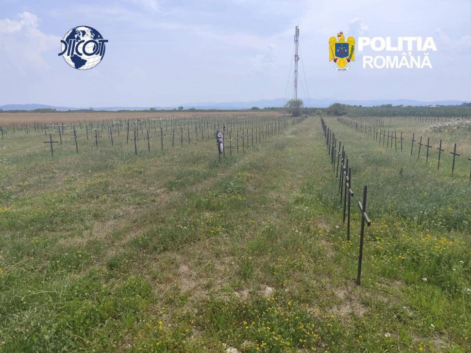Azilele groazei în Bihor. Sute de bătrâni, ținuți în condiții mizere, pentru pensii și donații. Când mureau, erau îngropați pe câmp 1081062