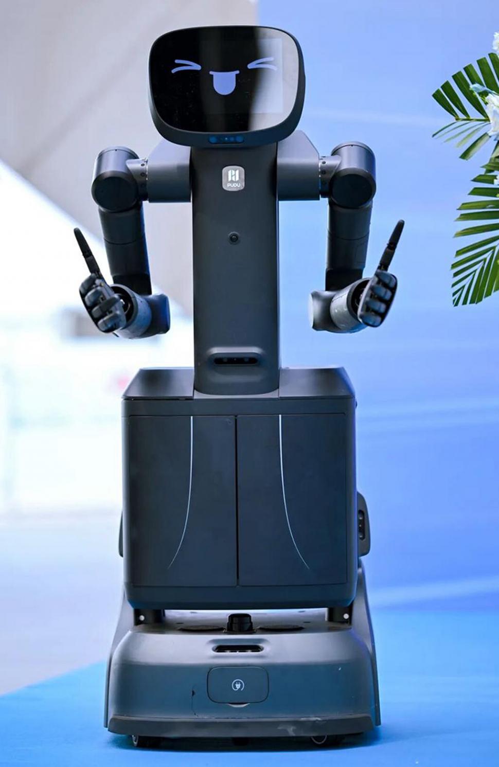 Primul hotel din lume care va funcționa doar cu „angajați” roboți se va deschide în 2027 1081049