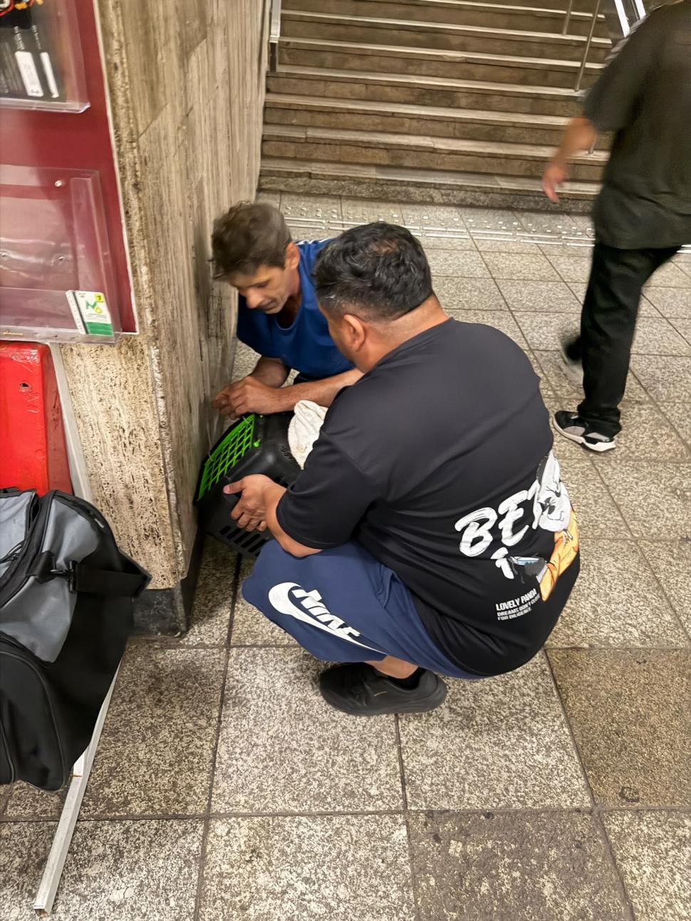 Opt oameni au muncit, cinci zile și cinci nopți, să salveze pisica blocată în tunelul metroului la Politehnica 1081679