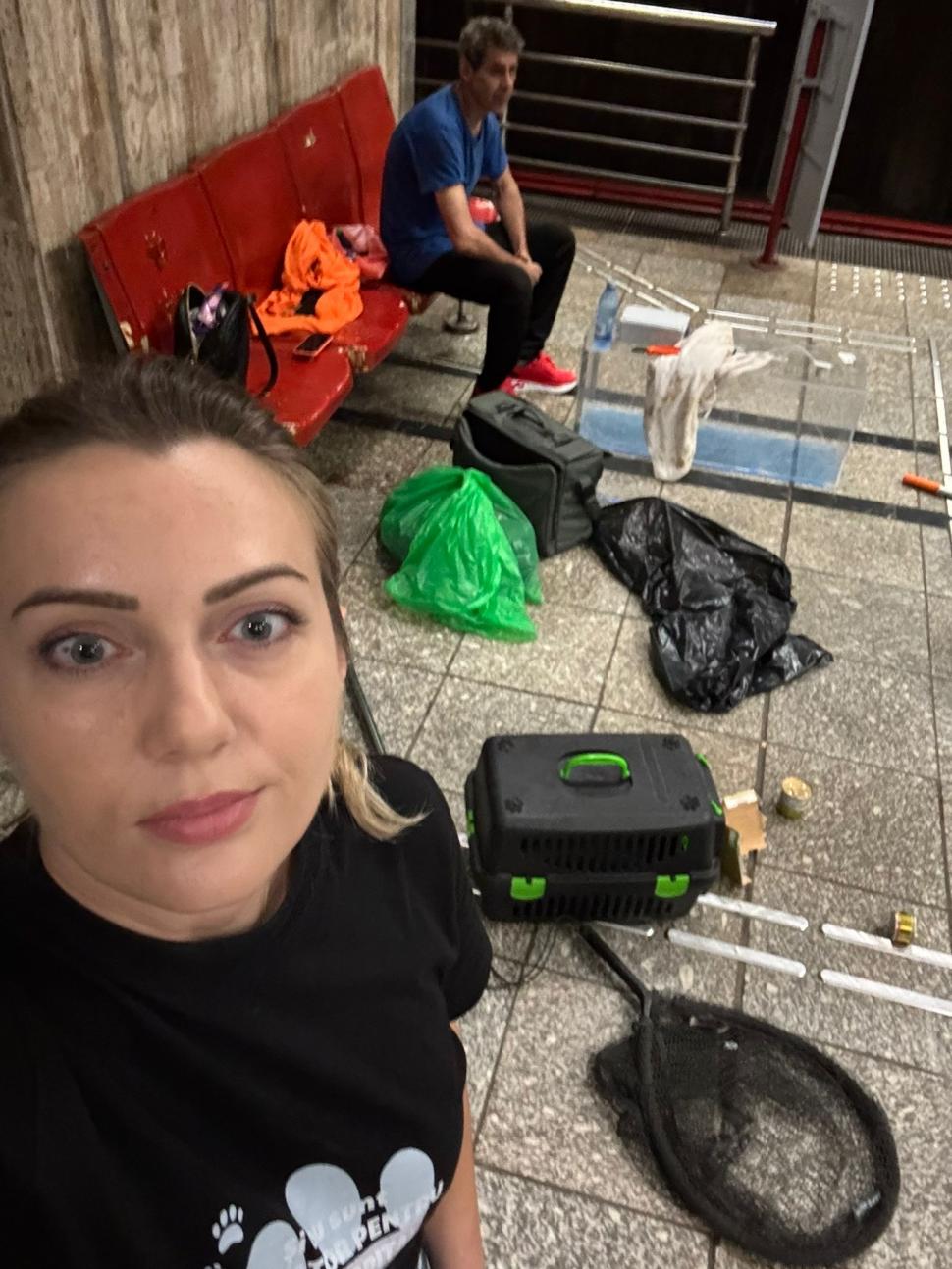 Opt oameni au muncit, cinci zile și cinci nopți, să salveze pisica blocată în tunelul metroului la Politehnica 1081680