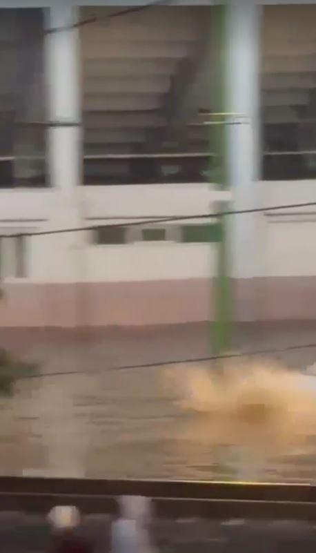 Codul roșu de vijelii a făcut ravagii în Brașov: copaci căzuţi, gospodării inundate, o ambulanţă şi mai multe maşini au rămas blocate 1081898