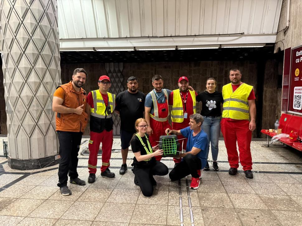 Motanul salvat din galeriile metroului are acum un nume: "Rex. De la Metrorex" 1082258