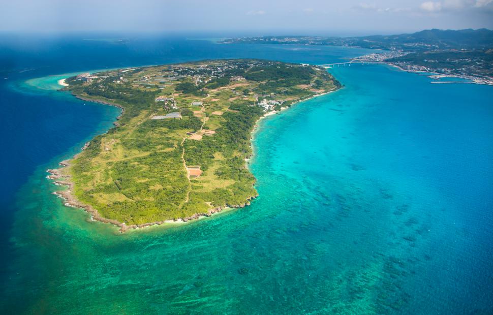 Cercetătorii au găsit o sticlă de plastic plutind în ocean şi au fost uimiţi să vadă o creatură marină trăind în interiorul ei 1082289