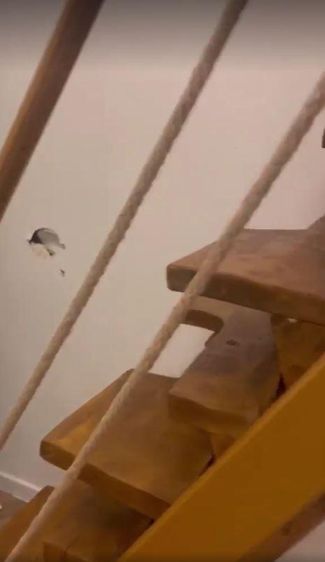 Proprietarul unei cabane din Runcu a fost șocat să constate că turiștii i-au distrus casa. S-au luat la bătaie, au spart şi pereţii 1082454