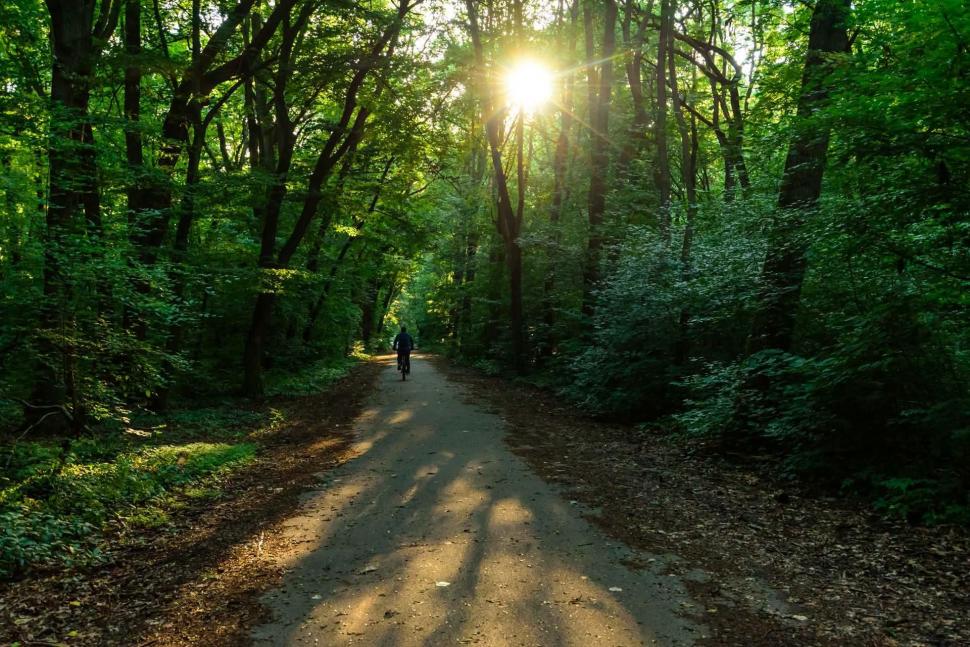 Bucureştiul ar putea avea o Centură Verde, întinsă pe 250 de hectare. Primăria: Vrem să creștem suprafața de spațiu verde pe locuitor 1083008