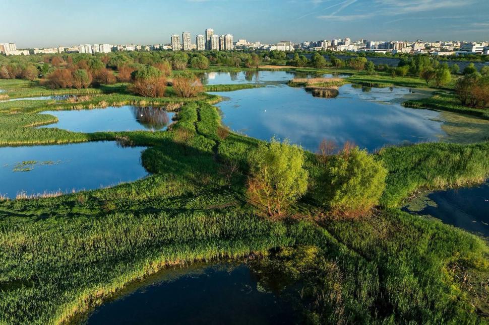 Bucureştiul ar putea avea o Centură Verde, întinsă pe 250 de hectare. Primăria: Vrem să creștem suprafața de spațiu verde pe locuitor 1083010