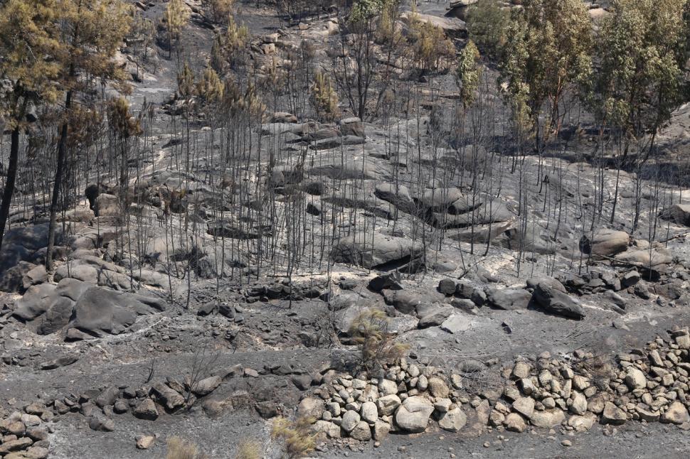 Cum se văd de sus incendiile record din Europa. Cum au contribuit, indirect, la producerea lor, ploile abundente de la început de an 1083045