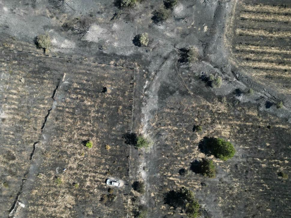 Cum se văd de sus incendiile record din Europa. Cum au contribuit, indirect, la producerea lor, ploile abundente de la început de an 1083048