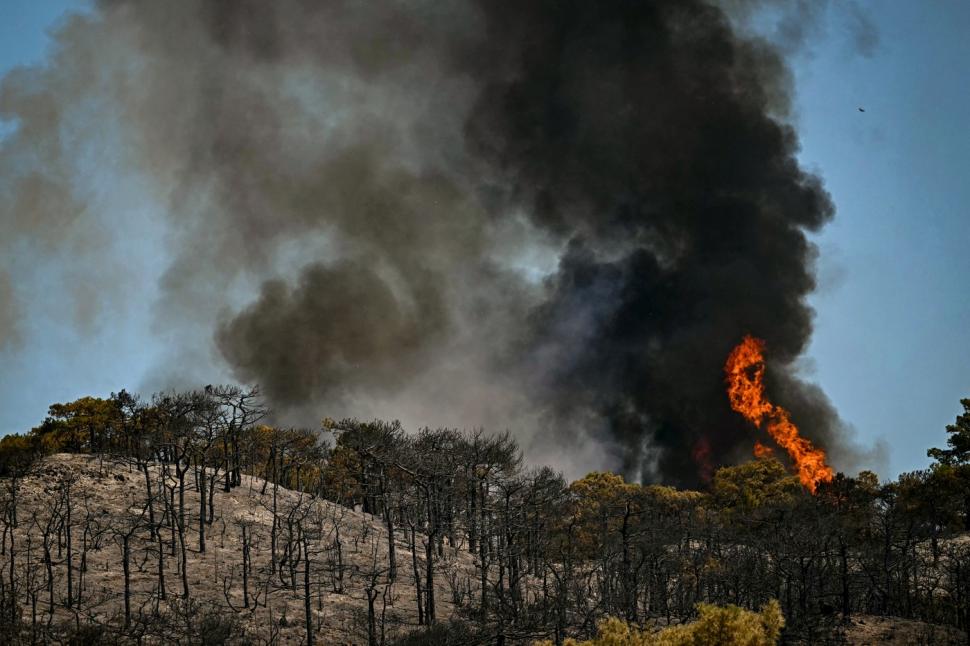 Cum se văd de sus incendiile record din Europa. Cum au contribuit, indirect, la producerea lor, ploile abundente de la început de an 1083049