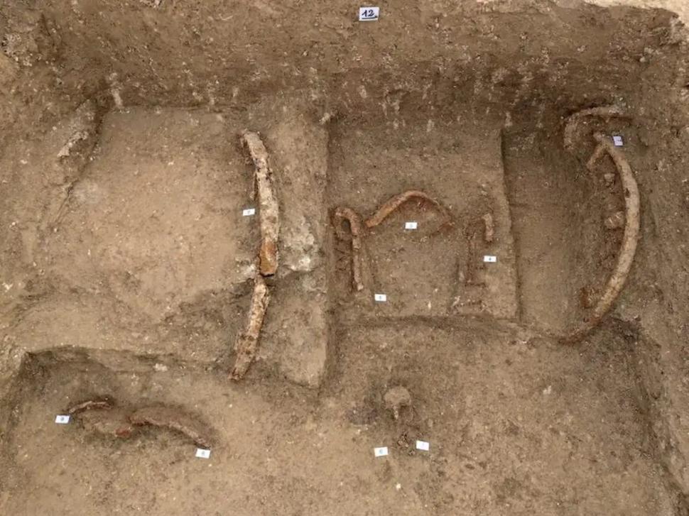 Descoperire arheologică rară: Mormântul regal antic al unui „prinț războinic”, îngropat cu carul și coiful său, a fost găsit în Italia 1083069