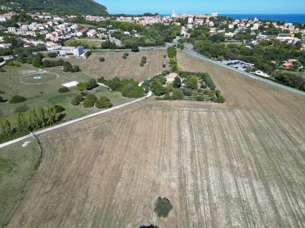 Descoperire arheologică rară: Mormântul regal antic al unui „prinț războinic”, îngropat cu carul și coiful său, a fost găsit în Italia 1083070