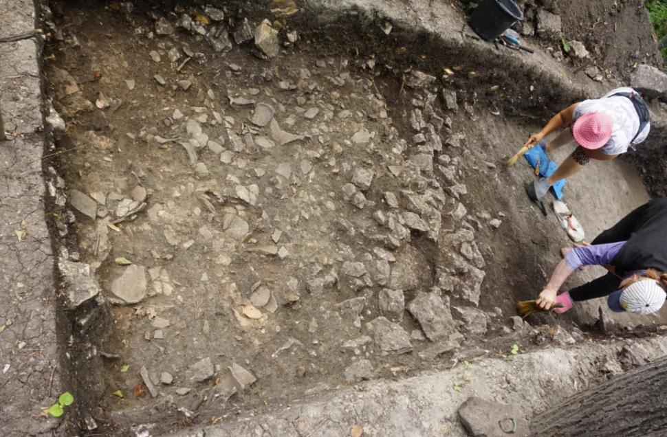 S-au încheiat săpăturile la cetatea dacică de la Piatra cu Lilieci. Au fost găsite obiecte rare, printre care o fibulă romană 1083409