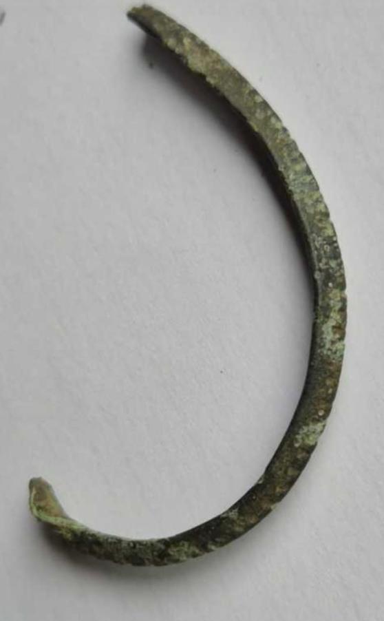 S-au încheiat săpăturile la cetatea dacică de la Piatra cu Lilieci. Au fost găsite obiecte rare, printre care o fibulă romană 1083421