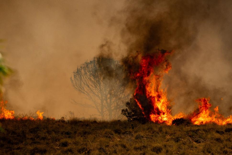 „Era ca un nor uriaș de fum în formă de ciupercă, de parcă a explodat o bombă”. Mărturii din infernul din Spania: 12 oameni au murit 1084047