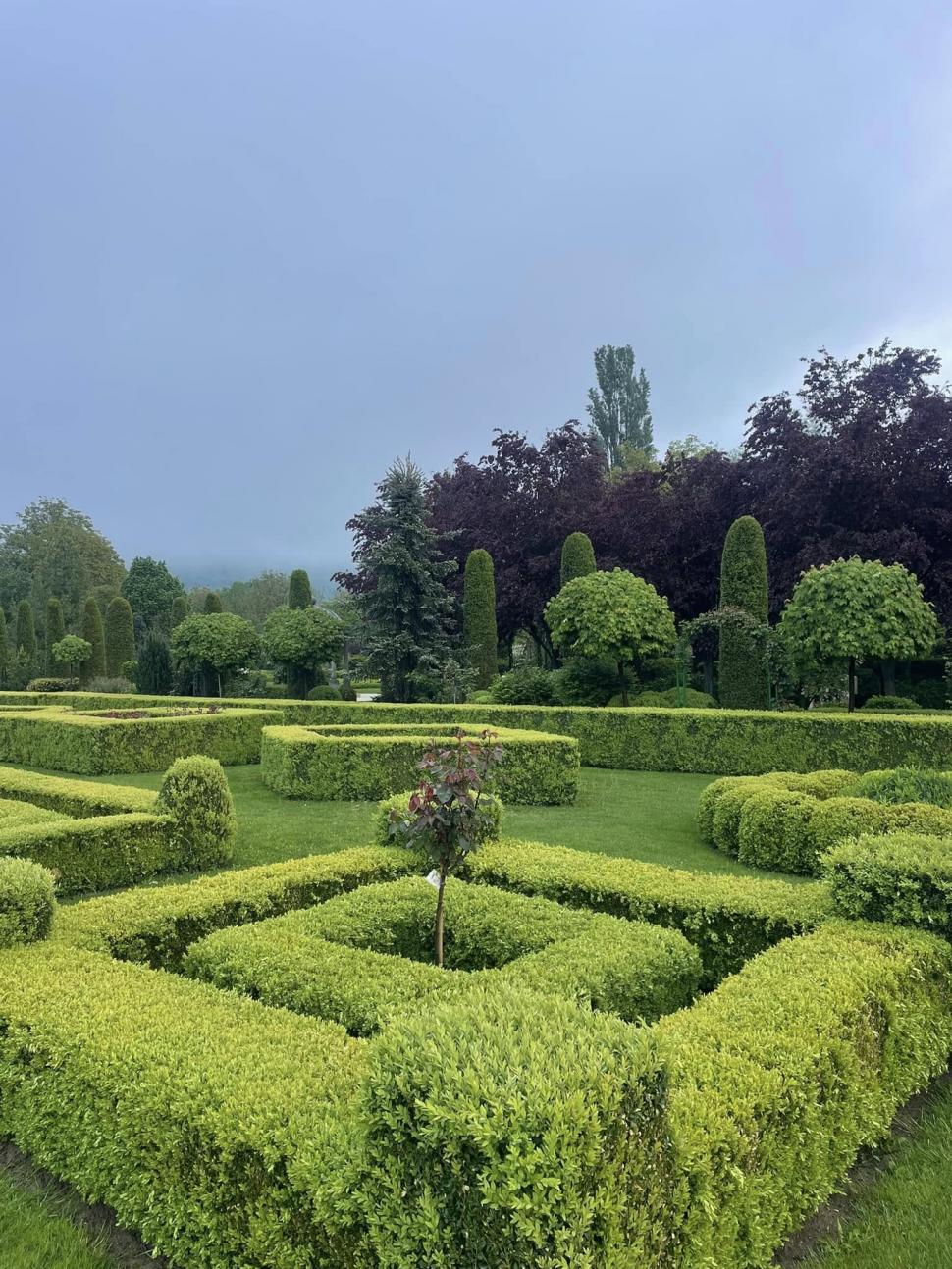 Un bunic italian a creat în România o grădină pentru nepoțeii lui, Zoe și Achille. Este unică în țară și a ajuns obiectiv turistic 1083807