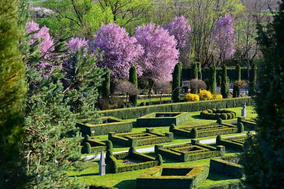 Un bunic italian a creat în România o grădină pentru nepoțeii lui, Zoe și Achille. Este unică în țară și a ajuns obiectiv turistic 1083830