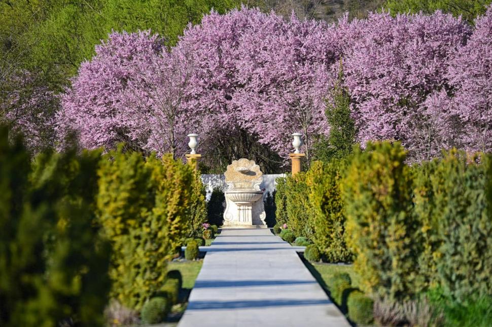 Un bunic italian a creat în România o grădină pentru nepoțeii lui, Zoe și Achille. Este unică în țară și a ajuns obiectiv turistic 1083831