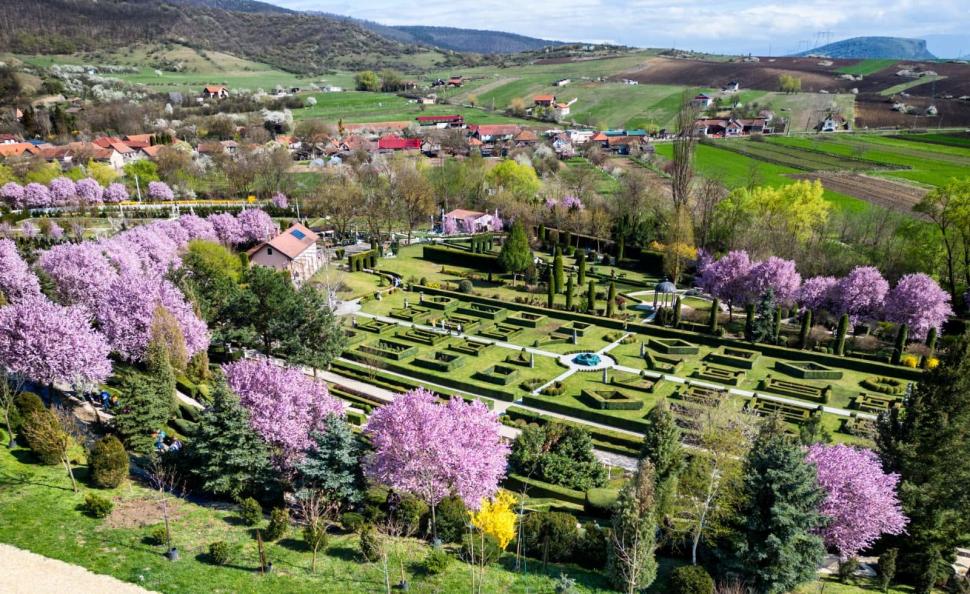 Un bunic italian a creat în România o grădină pentru nepoțeii lui, Zoe și Achille. Este unică în țară și a ajuns obiectiv turistic 1083832