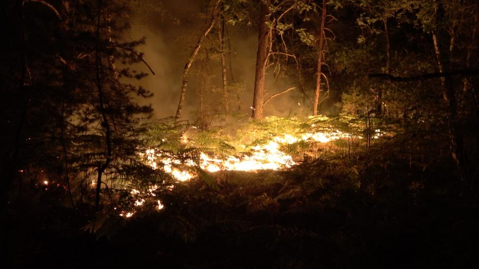 Pădurea Fontainebleau de lângă Paris arde de două zile: "Focarul nu este sub control și continuă să se răspândească” 1084523