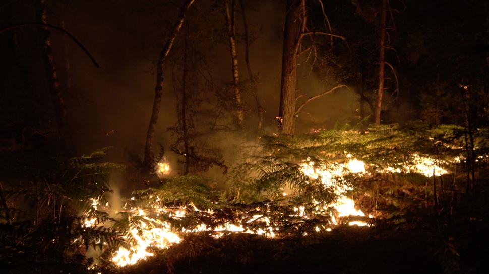 Pădurea Fontainebleau de lângă Paris arde de două zile: "Focarul nu este sub control și continuă să se răspândească” 1084526