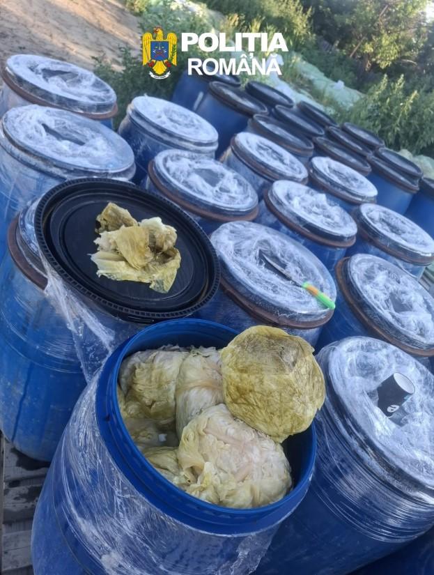 S-au descoperit 8 tone de varză murată îngropate în pământ, în Dâmbovița. Toata cantitatea a fost distrusă 1084449