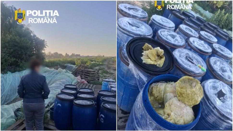 S-au descoperit 8 tone de varză murată îngropate în pământ, în Dâmbovița. Toata cantitatea a fost distrusă 1084452