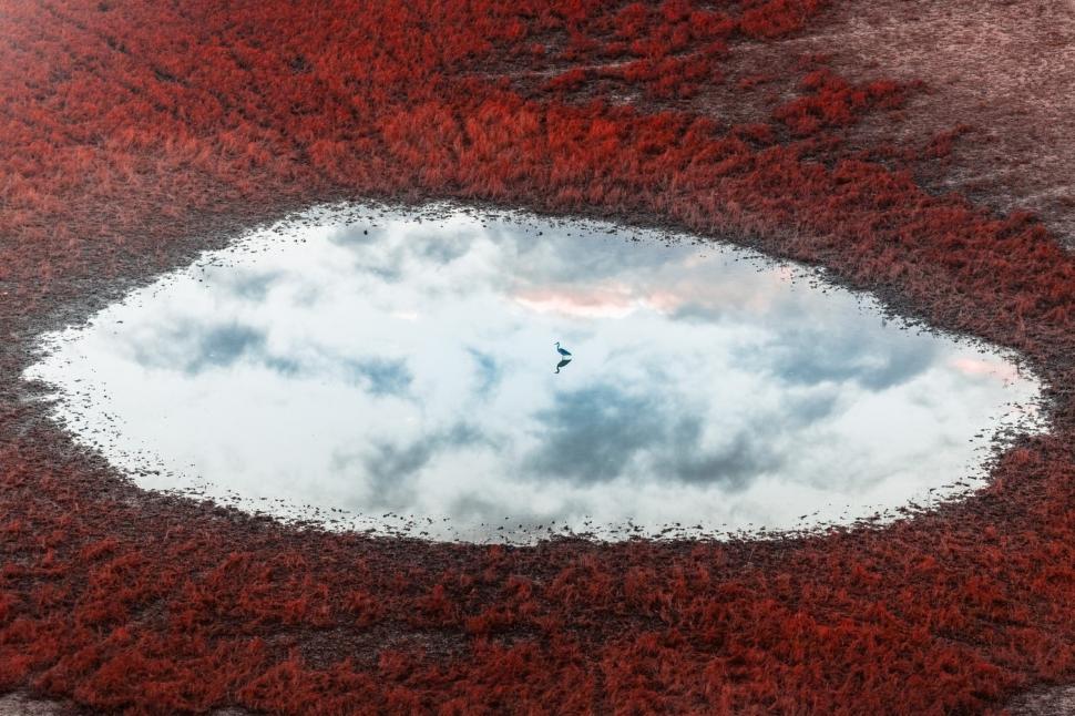 Văzută de sus, lumea noastră pare de pe altă lume. Cele mai spectaculoase fotografii aeriene au fost premiate la un concurs 1084977