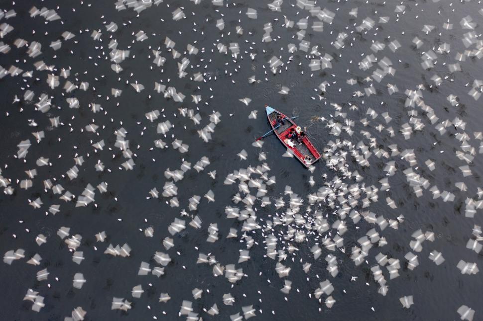Văzută de sus, lumea noastră pare de pe altă lume. Cele mai spectaculoase fotografii aeriene au fost premiate la un concurs 1084982