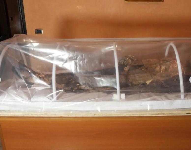 Mumia unei tinere nobile care a trăit în secolul al XIX-lea a fost descoperită într-o biserică din Italia 1081471