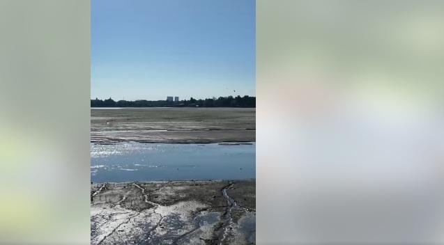 Probleme la lucrările din Herăstrău, după golirea lacului. PMB: Utilajele nu pot intra în toată cuva din cauza unui strat gros de mâl 1085331