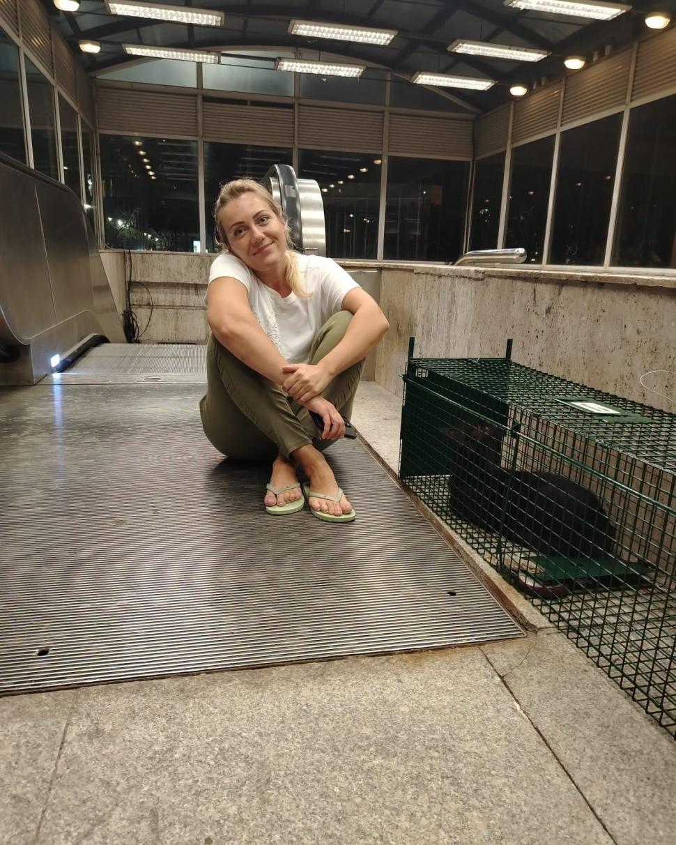 Pisicul de la metroul Titan a fost salvat după patru ani printre șine. Acum îl cheamă Mișu și are deja un stăpân care îl așteaptă 1086021