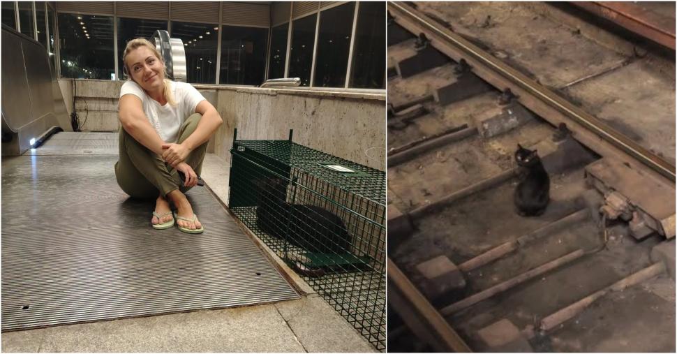 Pisicul de la metroul Titan a fost salvat după patru ani printre șine. Acum îl cheamă Mișu și are deja un stăpân care îl așteaptă 1086024