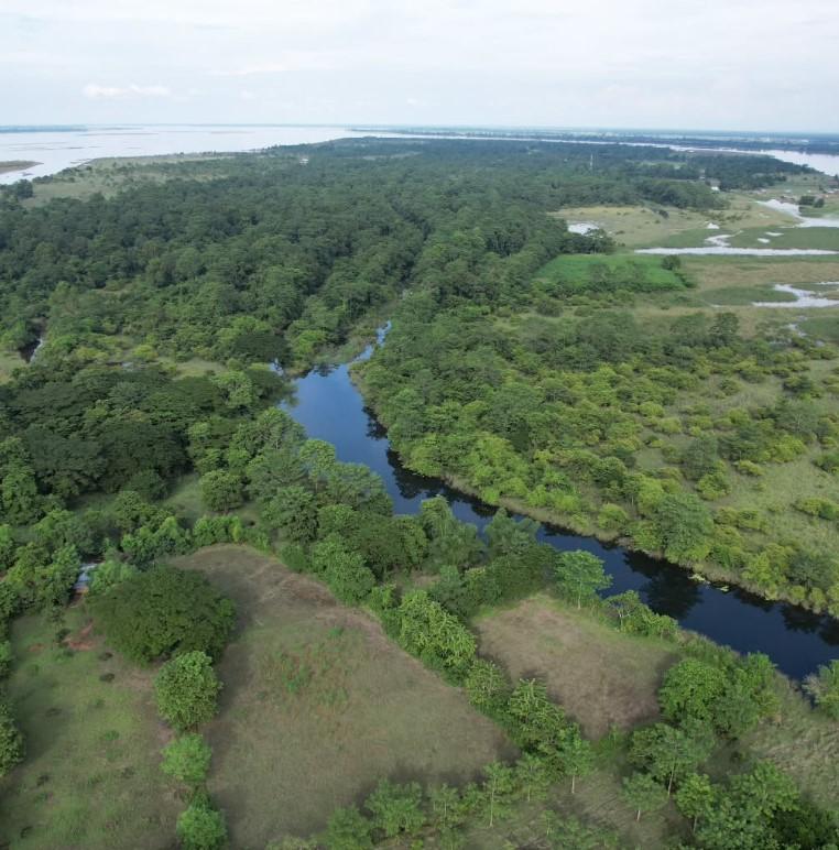 Un bărbat care a început să planteze copaci acum 40 de ani pe un teren arid a crescut între timp o pădure de 52 ha, plină de animale 1086425