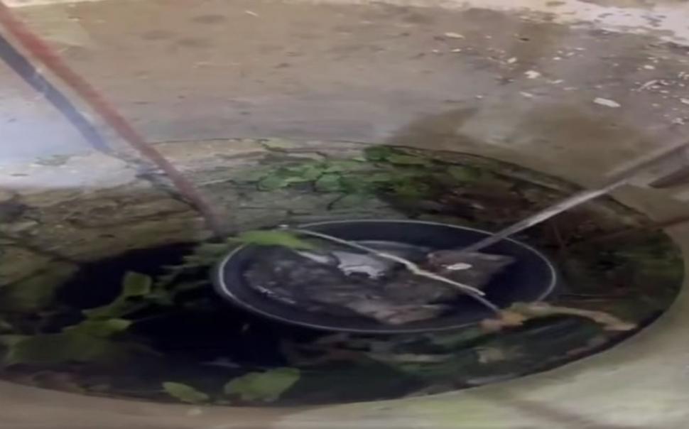 Doi pui de pisică au fost salvaţi de pompieri dintr-o fântână adâncă de 13 metri din judeţul Bihor. Intervenţia specială a fost filmată 1086979