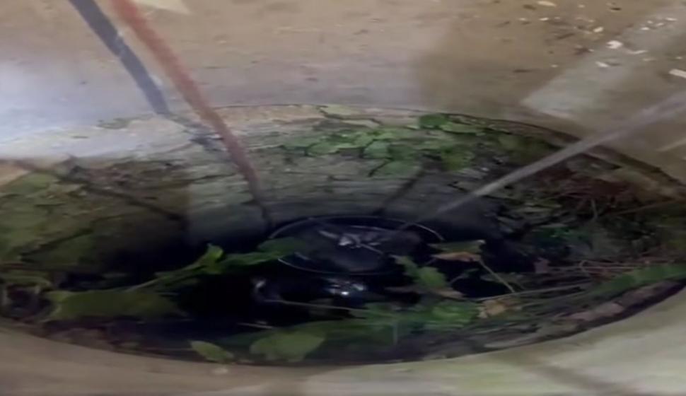 Doi pui de pisică au fost salvaţi de pompieri dintr-o fântână adâncă de 13 metri din judeţul Bihor. Intervenţia specială a fost filmată 1086981