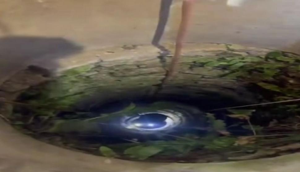 Doi pui de pisică au fost salvaţi de pompieri dintr-o fântână adâncă de 13 metri din judeţul Bihor. Intervenţia specială a fost filmată 1086984