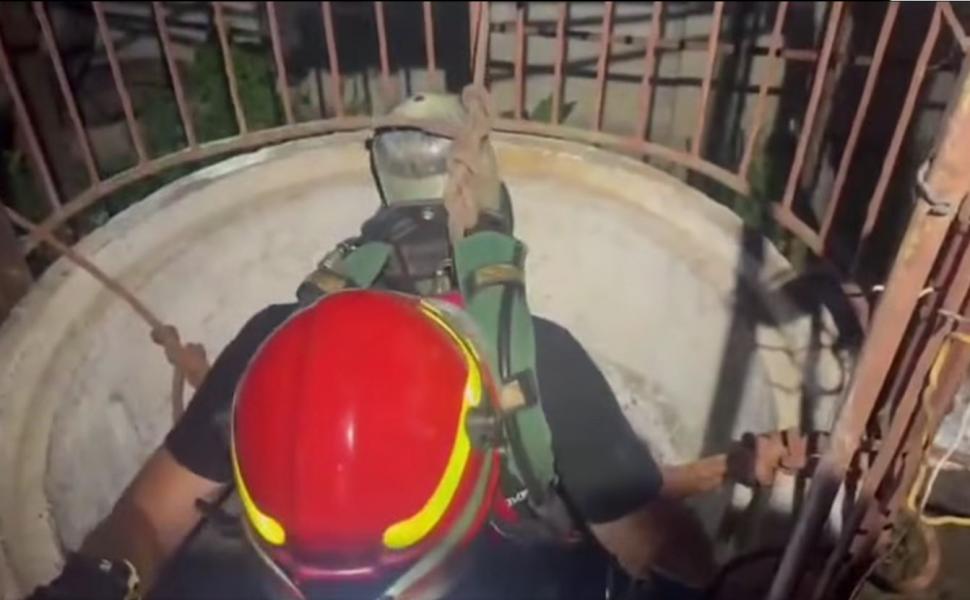Doi pui de pisică au fost salvaţi de pompieri dintr-o fântână adâncă de 13 metri din judeţul Bihor. Intervenţia specială a fost filmată 1086987