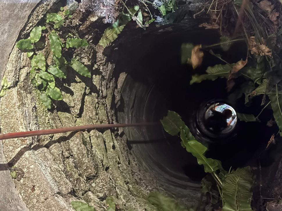 Doi pui de pisică au fost salvaţi de pompieri dintr-o fântână adâncă de 13 metri din judeţul Bihor. Intervenţia specială a fost filmată 1086993