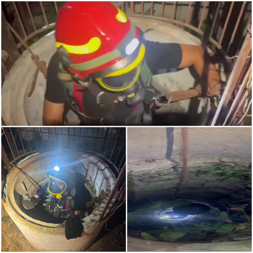 Doi pui de pisică au fost salvaţi de pompieri dintr-o fântână adâncă de 13 metri din judeţul Bihor. Intervenţia specială a fost filmată 1087037