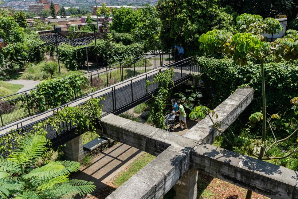 Columbia a plantat 880.000 de copaci pe străzile unui oraș ca să combată creșterea temperaturilor. Zonele umbrite s-au răcit și cu 5°C 1087703