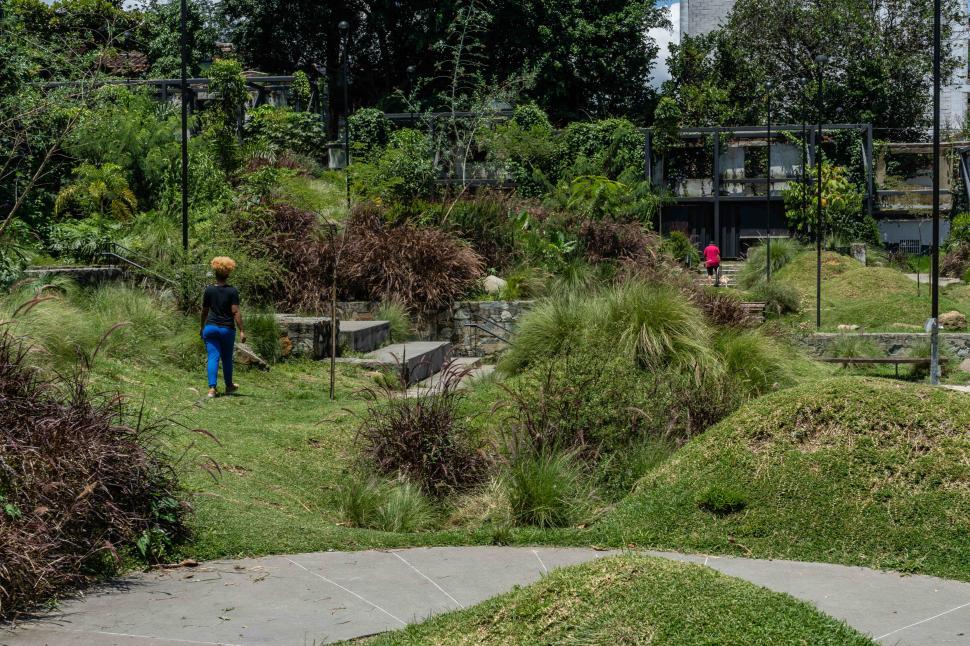 Columbia a plantat 880.000 de copaci pe străzile unui oraș ca să combată creșterea temperaturilor. Zonele umbrite s-au răcit și cu 5°C 1087704