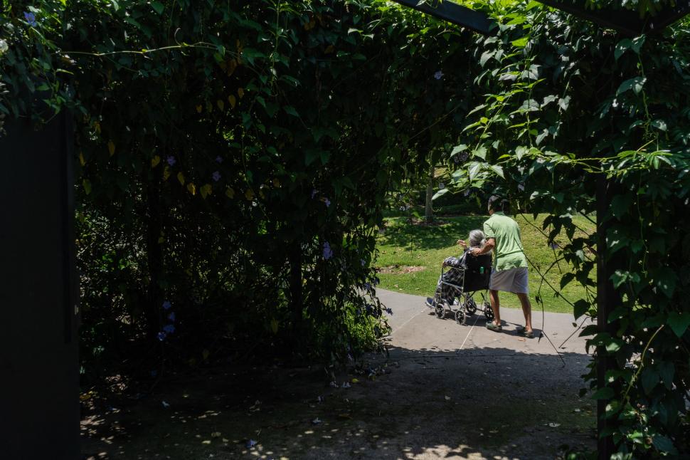 Columbia a plantat 880.000 de copaci pe străzile unui oraș ca să combată creșterea temperaturilor. Zonele umbrite s-au răcit și cu 5°C 1087705