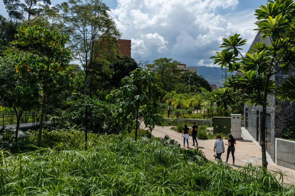 Columbia a plantat 880.000 de copaci pe străzile unui oraș ca să combată creșterea temperaturilor. Zonele umbrite s-au răcit și cu 5°C 1087708
