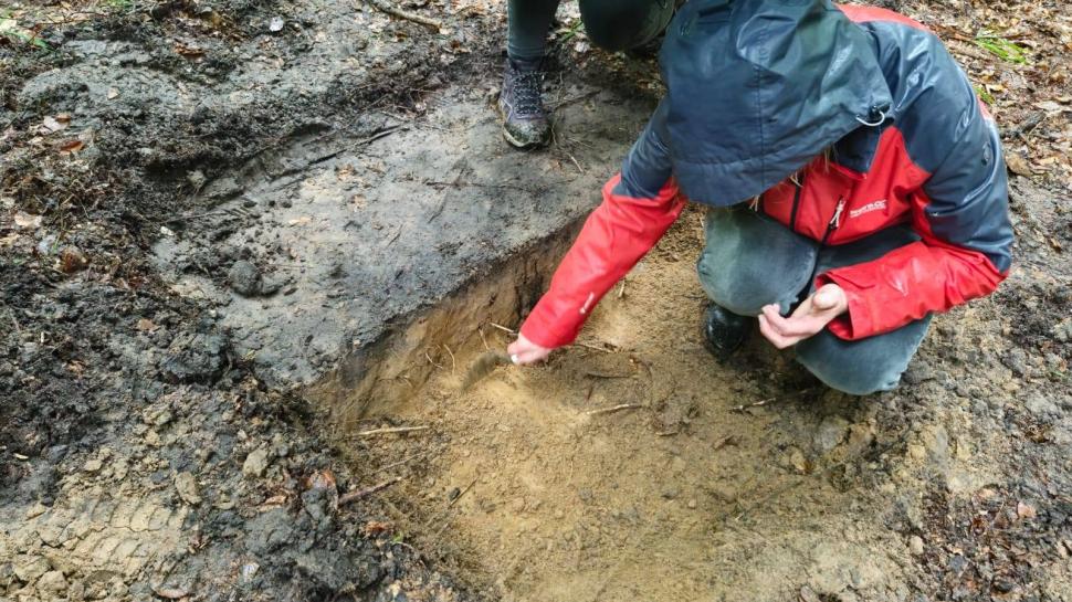 Descoperire arheologică neașteptată: O sabie antică de bronz a fost găsită înfiptă în pământ, în mijlocul unei păduri din Polonia 1087633