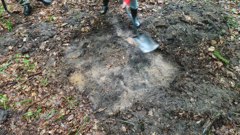 Descoperire arheologică neașteptată: O sabie antică de bronz a fost găsită înfiptă în pământ, în mijlocul unei păduri din Polonia 1087635
