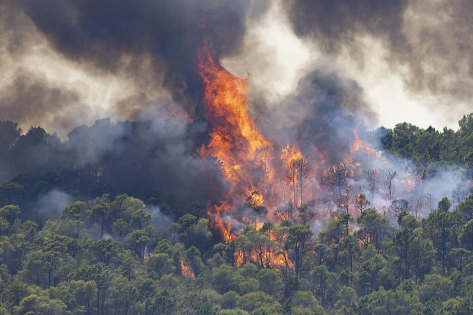 Imagini apocaliptice cu incendiile din Franţa şi Spania. Pedro Sánchez a anunţat că urmează "ore dificile" 1087991