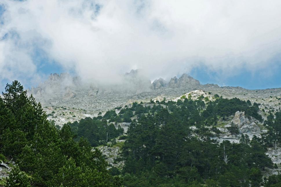 Muntele Olimp a fost inclus pe Lista Patrimoniului Mondial UNESCO. Este una dintre cele mai bogate zone de biodiversitate din Europa 1088056