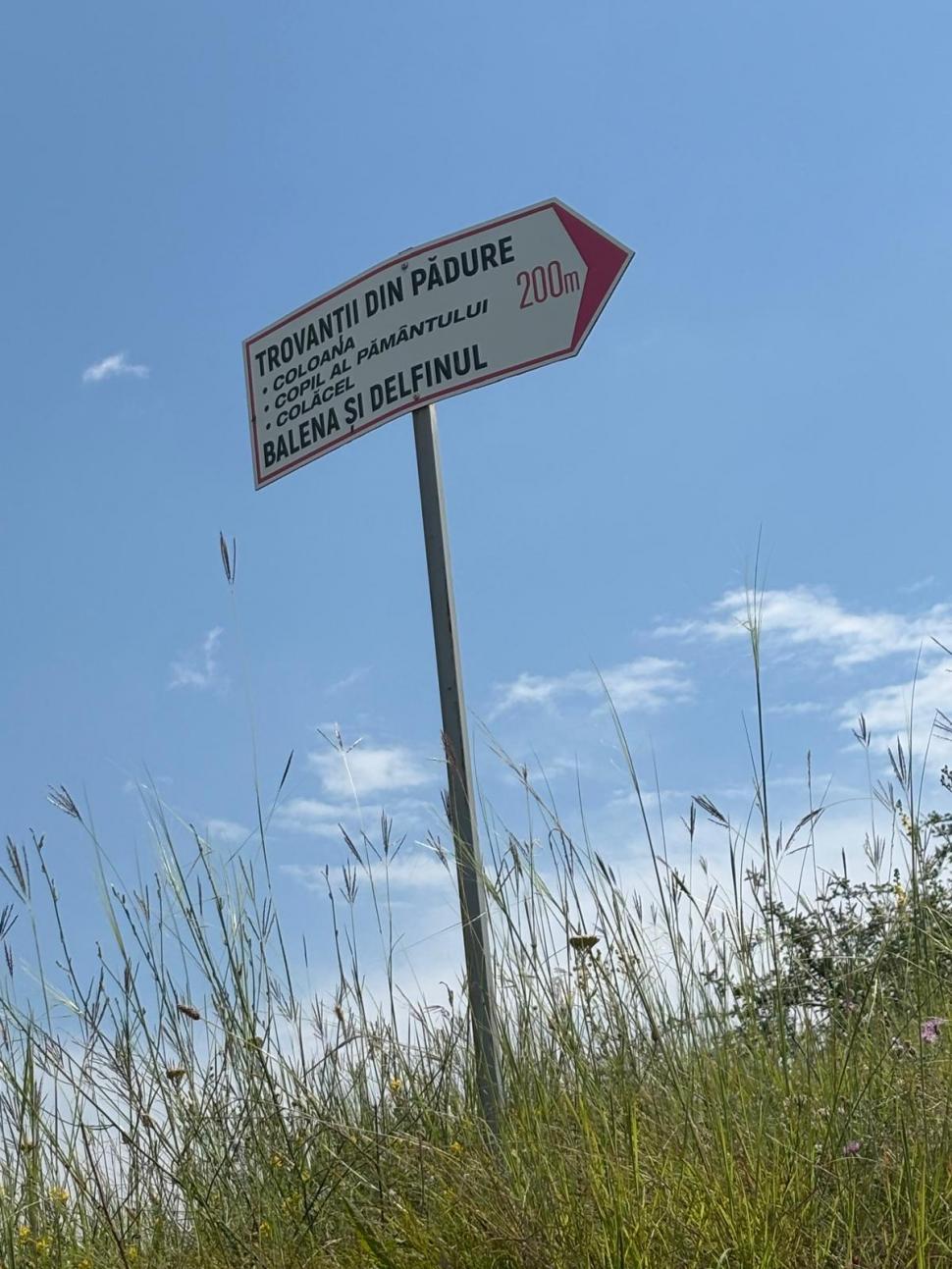 Am fost la „Babele de la Ulmet”. Ce sunt trovanții, unici în lume: Cum ajungi la „pietrele vii”, cât e biletul și ce spun legendele 1088287